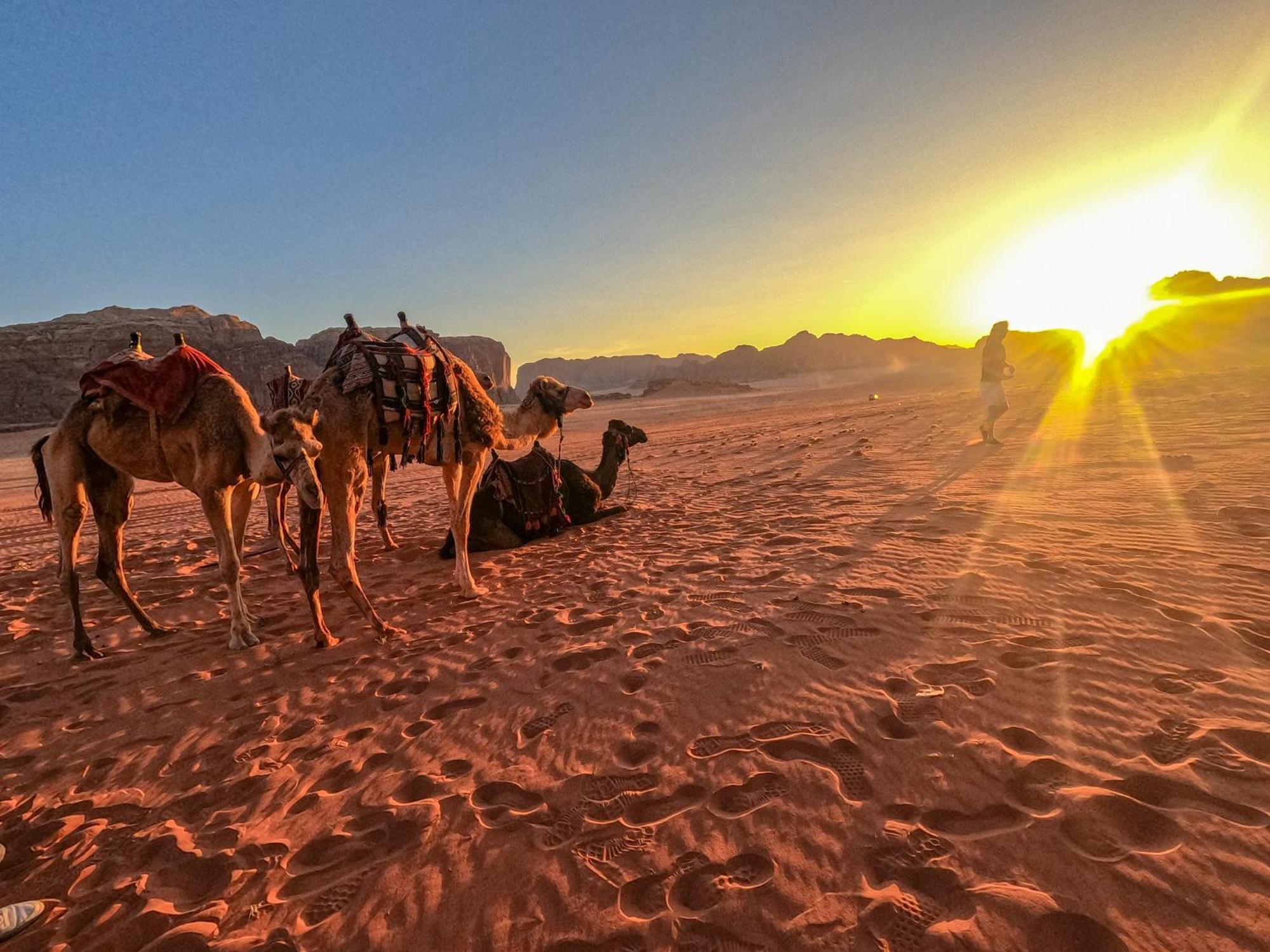 Hotel Stargazing Camp & Tours Wadi Rum Exterior foto