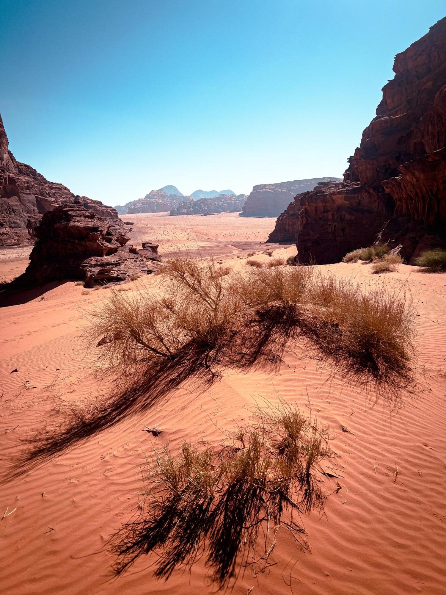 Hotel Stargazing Camp & Tours Wadi Rum Exterior foto
