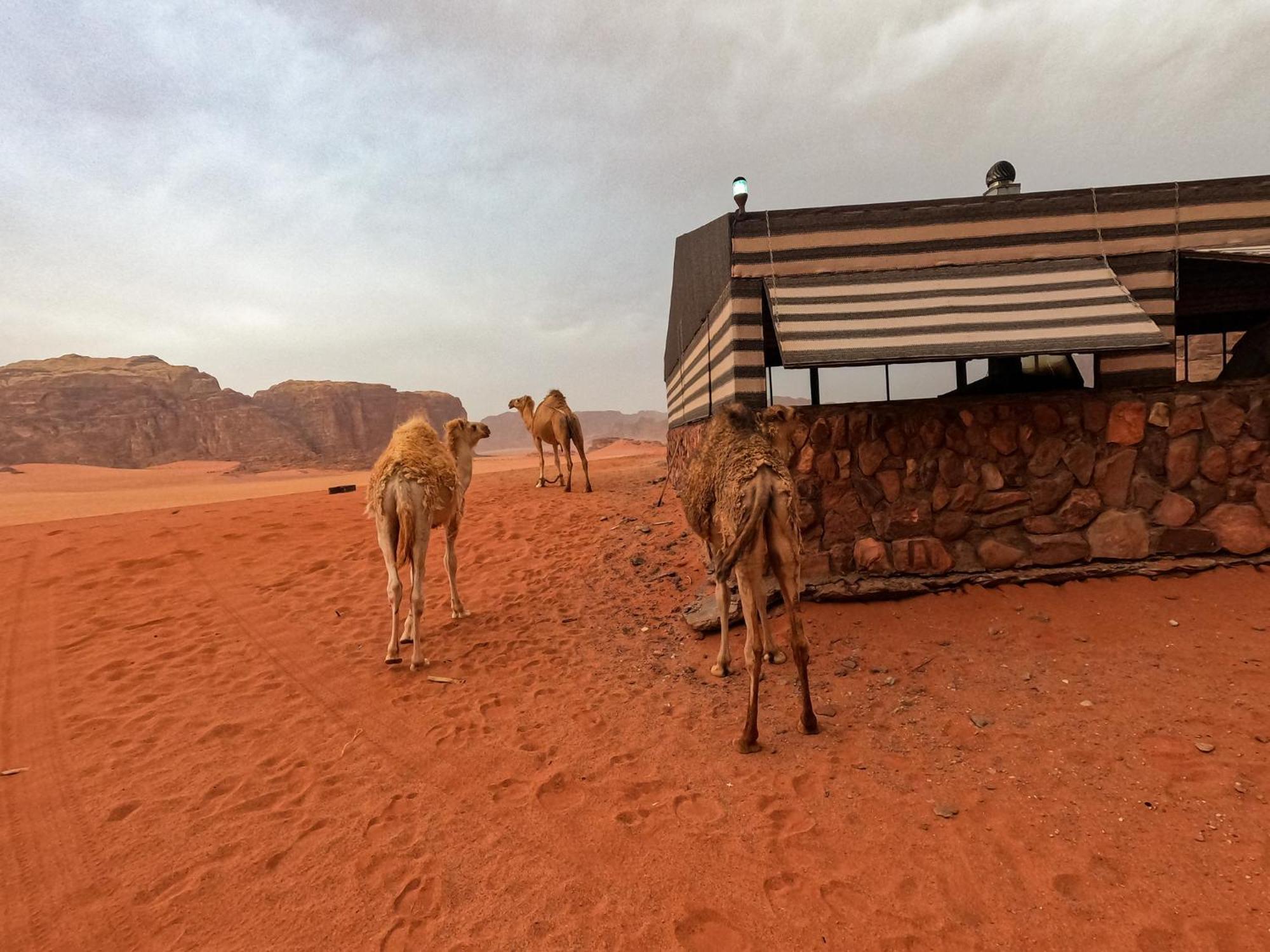 Hotel Stargazing Camp & Tours Wadi Rum Exterior foto